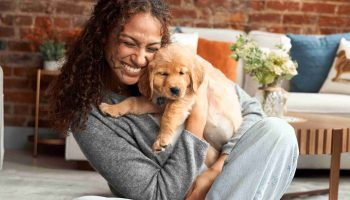 American Kennel Club