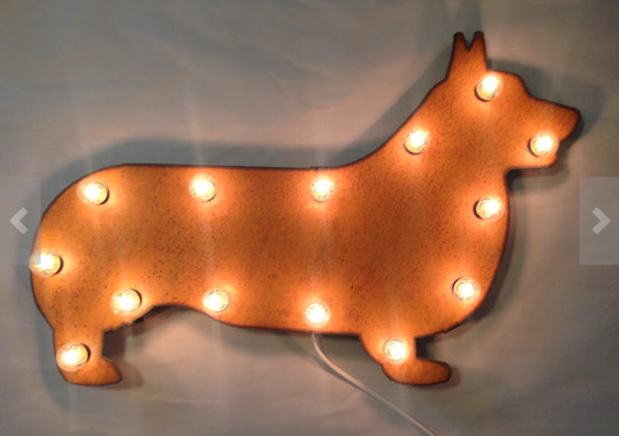 1777918146 777 18 Things All Corgi Lovers NEED To Own – American