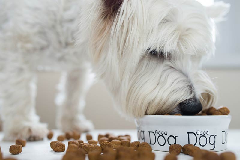 1777920827 192 The Facts About Natural Dog Food – American Kennel Club