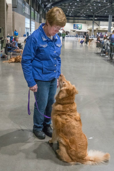 1777923922 856 When It Comes to Doggy Dynamics Sizzle Is Your Ultimate