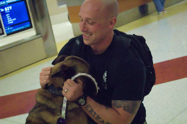 1777924017 647 The Story of Aura the K9 Military Dog and Heroine