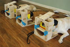 mock head coils
