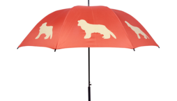 18 Items That Are Perfect For Cavalier King Charles Spaniel