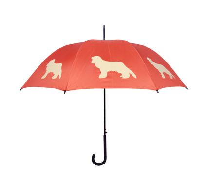 18 Items That Are Perfect For Cavalier King Charles Spaniel