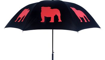 20 Must Have Items Bulldog Lovers – American Kennel Club