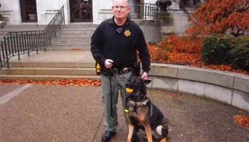 German Shepherd Delaware KC K9 Officer