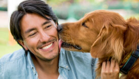 75 Ways to Be a Responsible Dog Owner Throughout Your Pet's Life