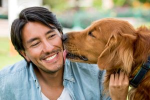 75 Ways to Be a Responsible Dog Owner Throughout Your Pet's Life
