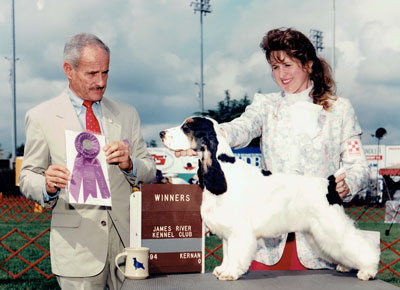 How I Showed at Westminster Despite Having No Business Being
