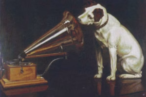 Nipper
