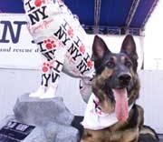 Sculpture Unveiled By Dog Hero – American Kennel Club