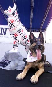 Sculpture Unveiled By Dog Hero – American Kennel Club