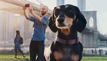 Vivian The Giant Dachshund Moves To NYC And Helps Kids