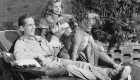 bacall boxer