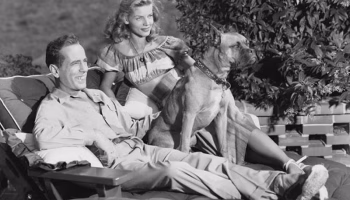 bacall boxer