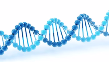 breeding to predetermine sex