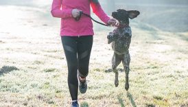 How to Train Your Dog to Run With You: Tips and Tricks