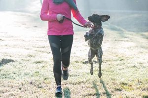 How to Train Your Dog to Run With You: Tips and Tricks