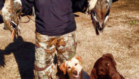 Jen and dogs