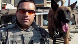 Retired Sergeant and his Malinois K-9 Reunite After Years Apart – American Kennel Club