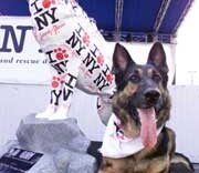Sculpture Unveiled By Dog Hero – American Kennel Club